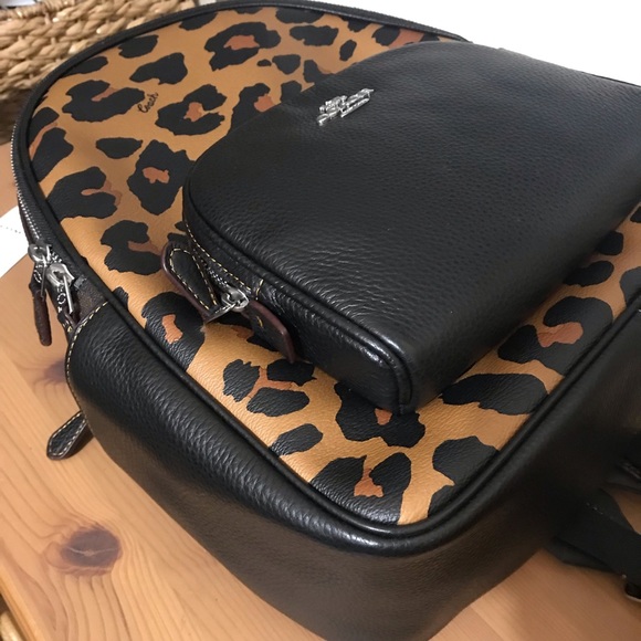 🥰Court Backpack With Signature Canvas And Leopard Print - Picture 5 of 12